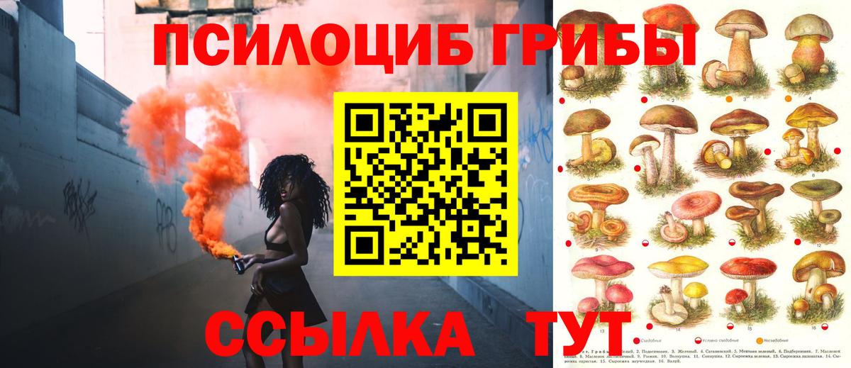 Полевской  Псилоцибиновые грибы Psilocybe  Вход с VPN  Псилоцибиновые грибы прущие грибы 